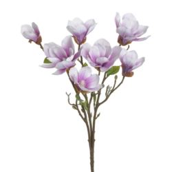 MAGNOLIA GAŁĄZKA 56CM WHT PURPLE