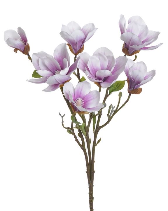 MAGNOLIA GAŁĄZKA 56CM WHT PURPLE
