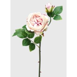 RÓŻA ANGIELSKA GAŁĄZKA 52CM CREAM PINK