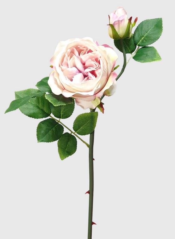 RÓŻA ANGIELSKA GAŁĄZKA 52CM CREAM PINK