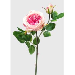 RÓŻA ANGIELSKA GAŁĄZKA 52CM CRM PINK