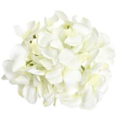 HORTENSJA GŁOWA 17CM KLM1201 WHITE GREEN