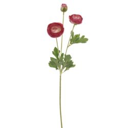 PEŁNIK GAŁĄZKA 55CM SUN869 (2) RASPBERRY