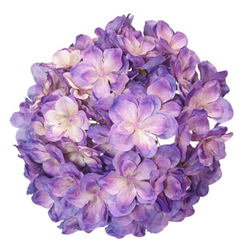 HORTENSJA GŁOWA 20CM CHQ07 1 PURPLE HORTENSJA GŁOWA 20CM CHQ07 1 PURPLE