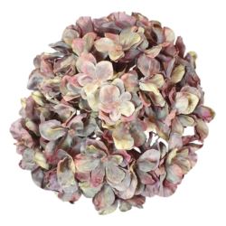 HORTENSJA GŁOWA 20CM CHQ07 2 GREEN BROWN