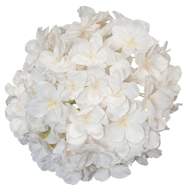 HORTENSJA GŁOWA 20CM CHQ07 15 CREAM