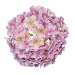 HORTENSJA GŁOWA 20CM CHQ07 6 PERSIAN PINK