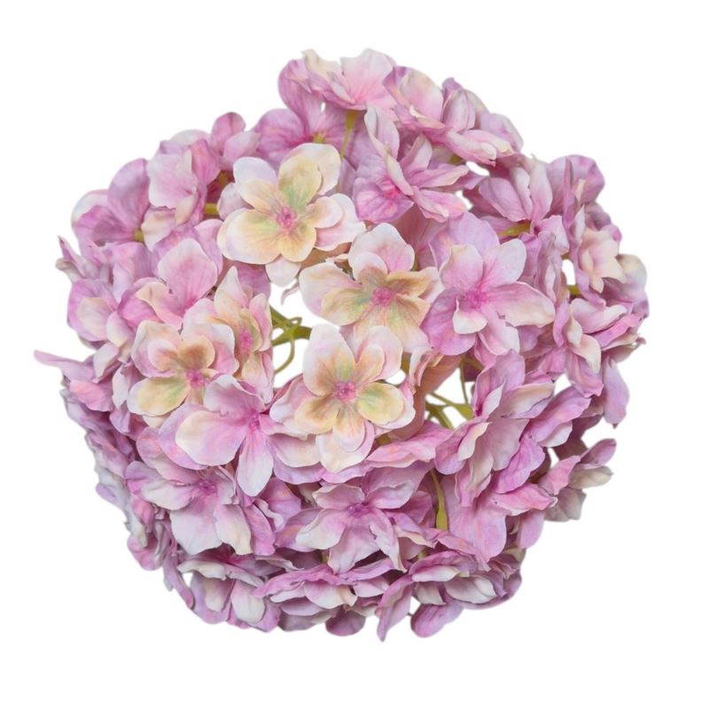 HORTENSJA GŁOWA 20CM CHQ07 6 PERSIAN PINK