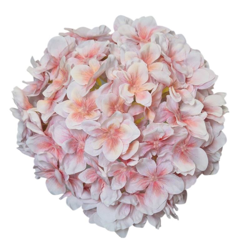 HORTENSJA GŁOWA 20CM CHQ07 3 LT PEACH HORTENSJA GŁOWA 20CM CHQ07 3 LT PEACH