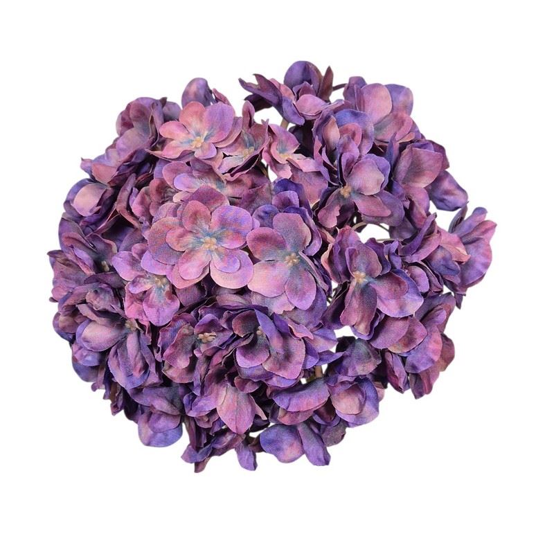 HORTENSJA GŁOWA 20CM CHQ07 A 5 PLUM HORTENSJA GŁOWA 20CM CHQ07 A 5 PLUM