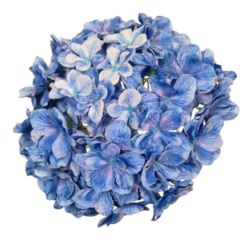 HORTENSJA GŁOWA 20CM CHQ07 12 MARINE BLUE