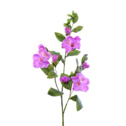 POWOJNIK 75CM SUN617 BEAUTY