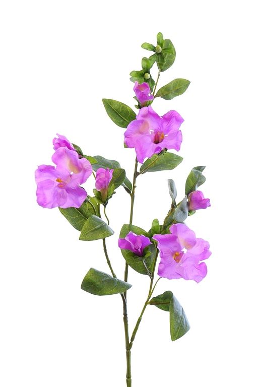 POWOJNIK 75CM SUN617 BEAUTY