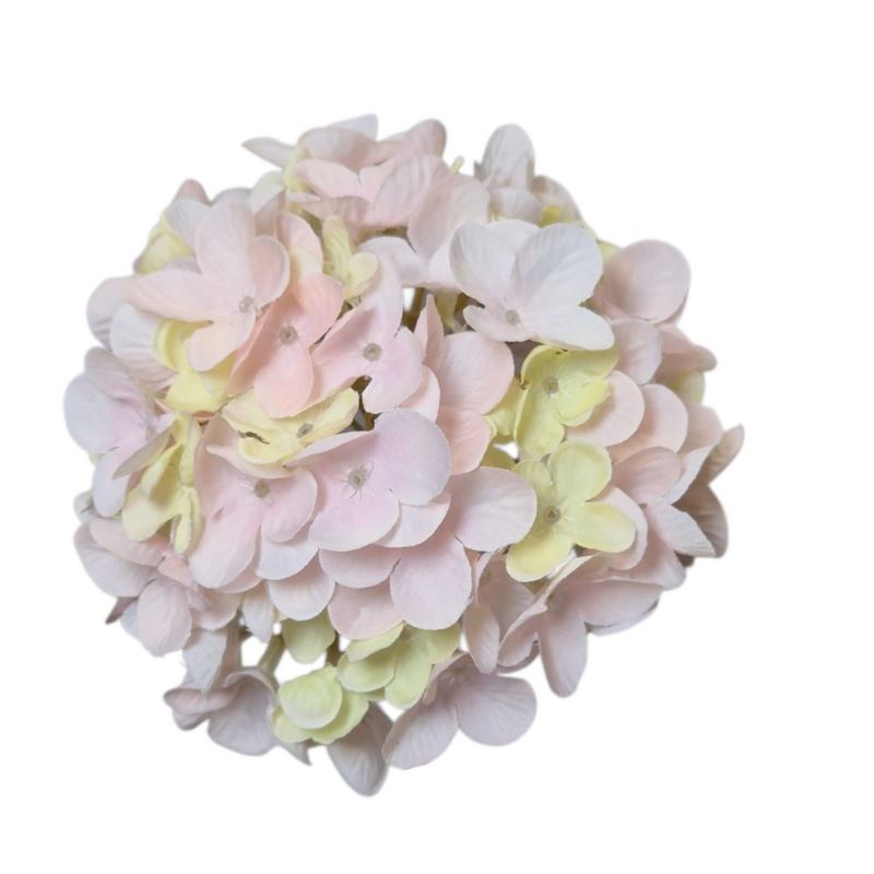 HORTENSJA DROBNA – GŁOWA 14CM MY110  1 PINK