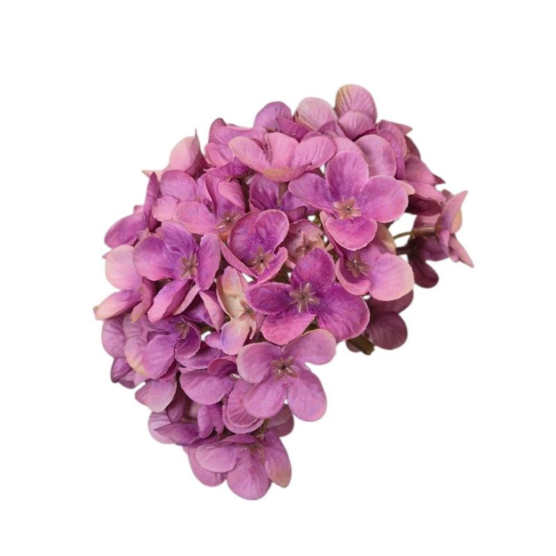 HORTENSJA DROBNA – GŁOWA 14CM MY110 VIOLET