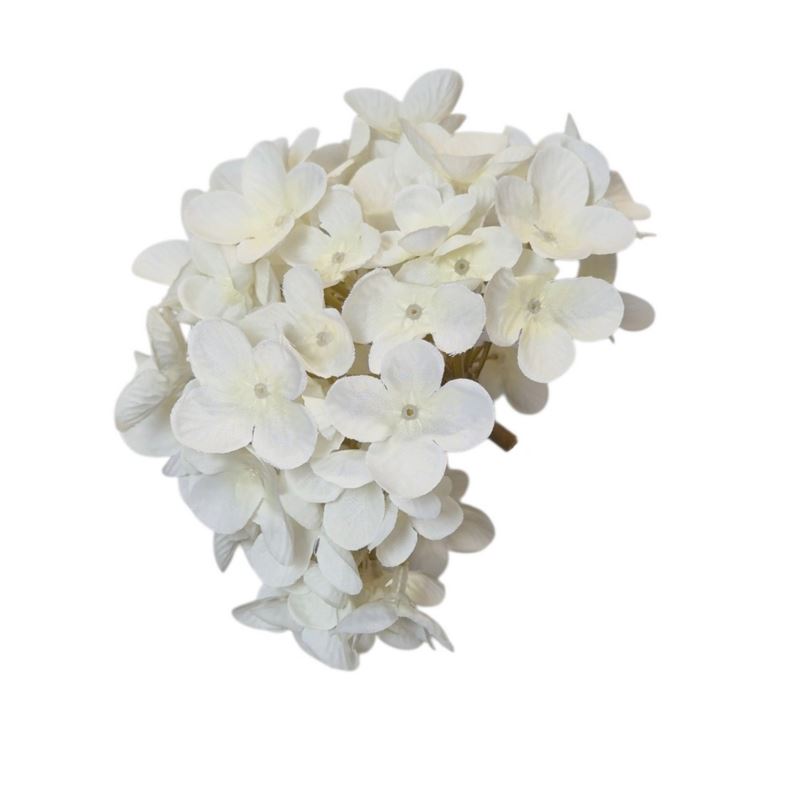 HORTENSJA DROBNA – GŁOWA 14CM MY110 5 WHITE