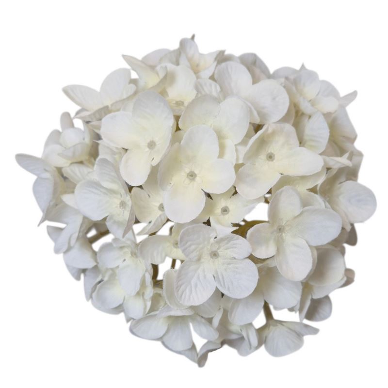 HORTENSJA DROBNA – GŁOWA 14CM MY110 5 WHITE
