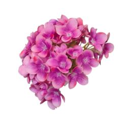 HORTENSJA DROBNA – GŁOWA 14CM MY110 2 DK PINK
