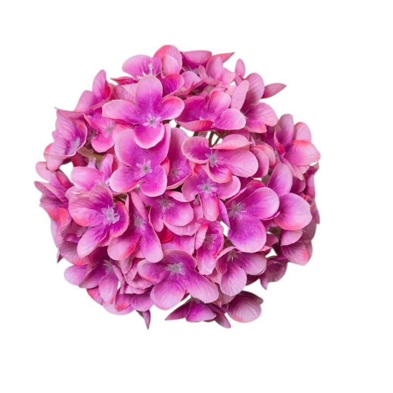 HORTENSJA DROBNA – GŁOWA 14CM MY110 2 DK PINK