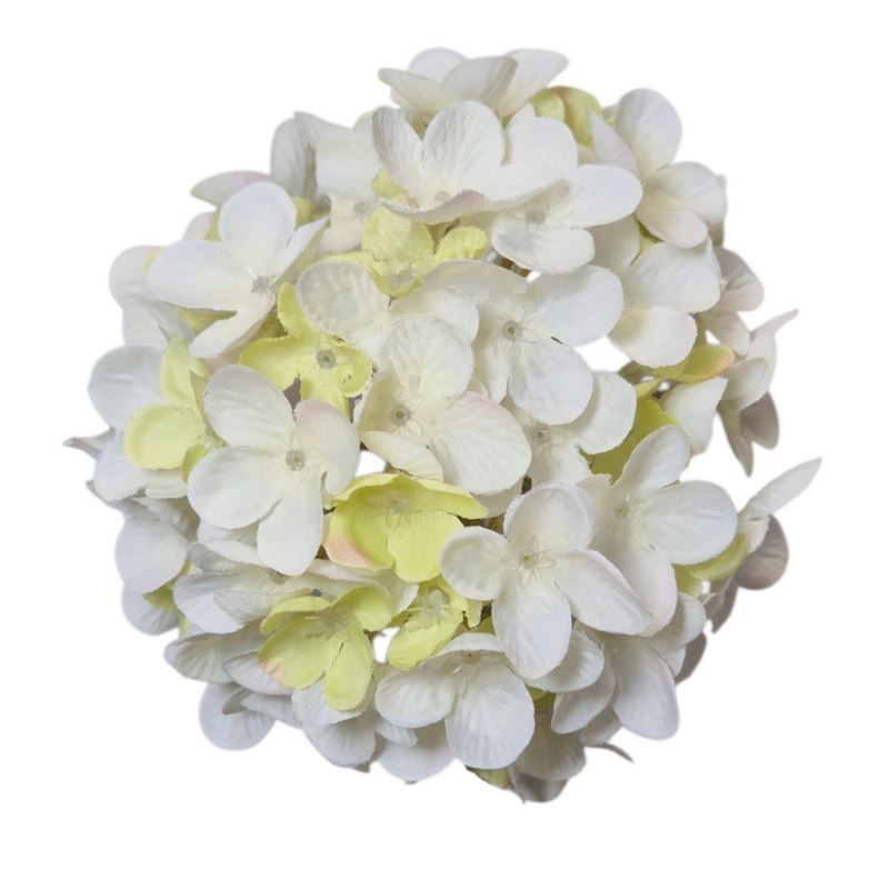 HORTENSJA DROBNA – GŁOWA 14CM MY110 3 CREAM GREEN