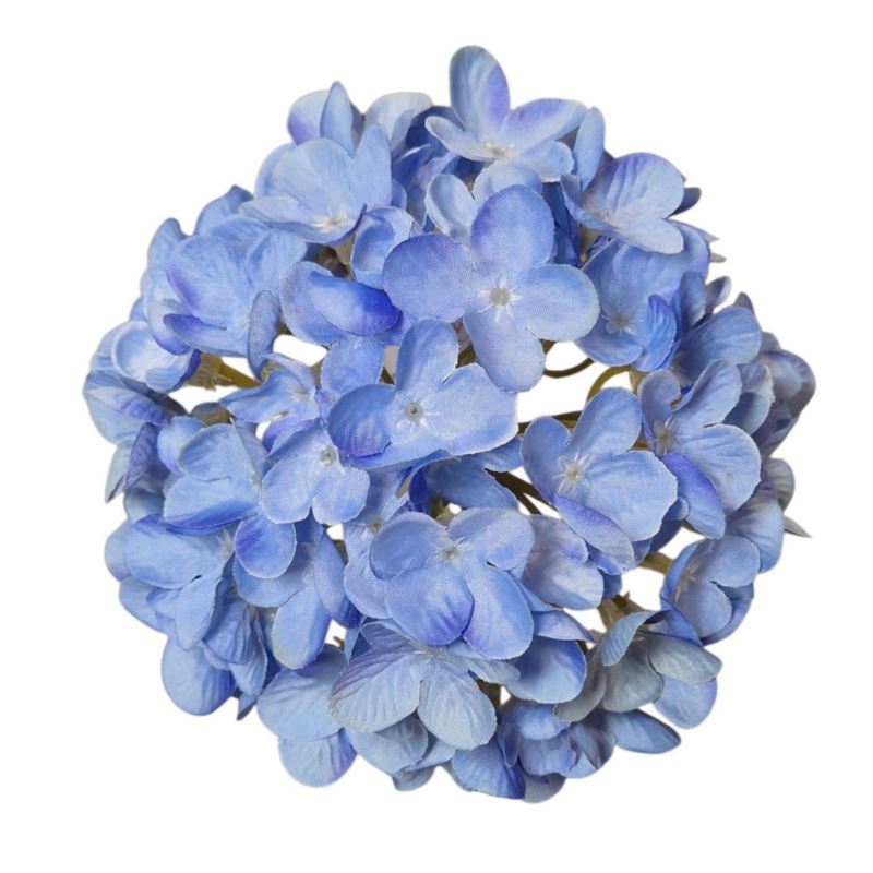 HORTENSJA DROBNA – GŁOWA 14CM MY110 4 BLUE