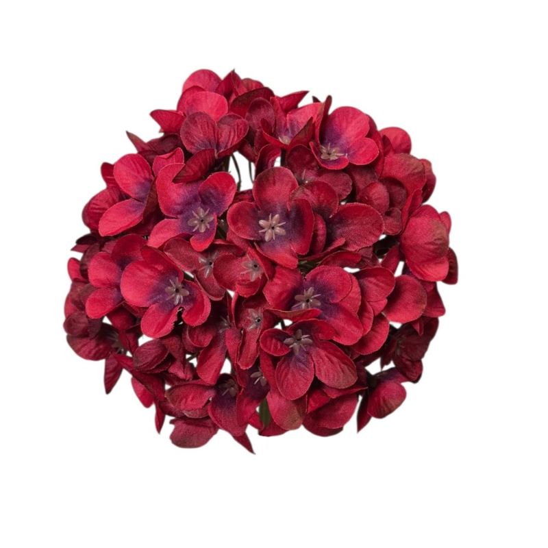 HORTENSJA DROBNA – GŁOWA 14CM MY110 DK RED