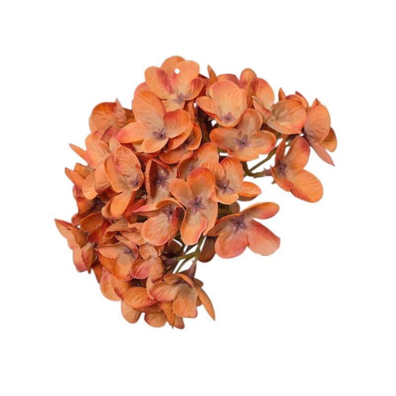 HORTENSJA DROBNA – GŁOWA 14CM MY110 BROWN