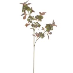DZIKI BEZ Z OWOCAMI 85CM KLM1145 GREEN TEA