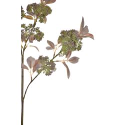 DZIKI BEZ Z OWOCAMI 85CM KLM1145 GREEN TEA