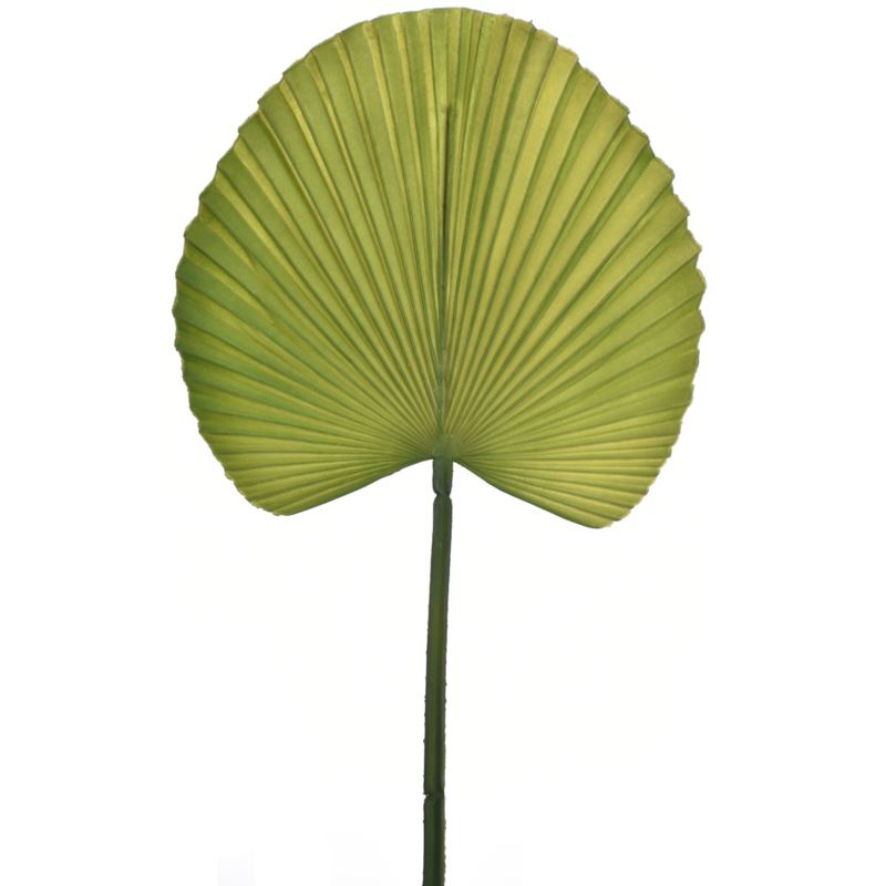LIŚĆ PALMY 55CM JUN045 GREEN