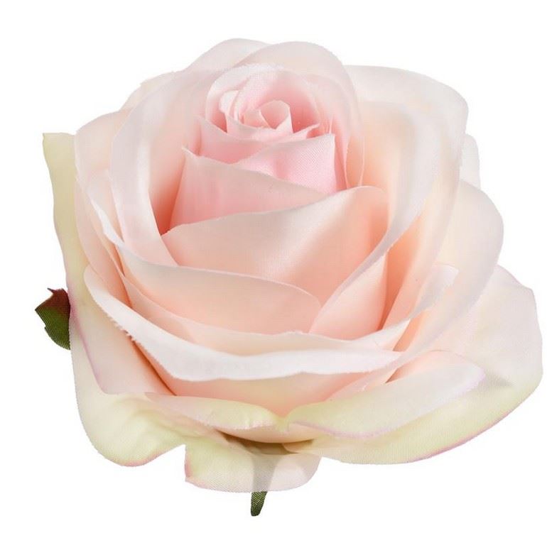 RÓŻA WYROBOWA 8CM SUN385 DELICATE APRICOT RÓŻA WYROBOWA 8CM SUN385 DELICATE APRICOT