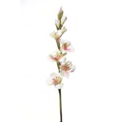 MIECZYK POJEDYNCZY 85CM SUN367 LT GREEN LT PINK