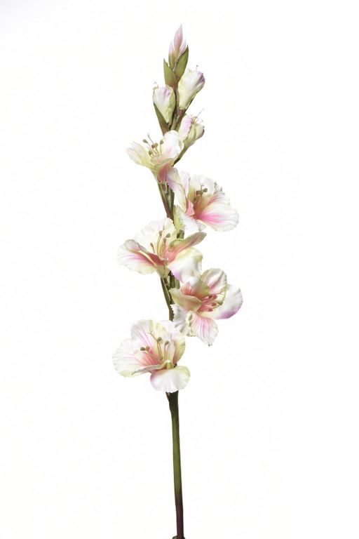 MIECZYK POJEDYNCZY 85CM SUN367 LT GREEN LT PINK