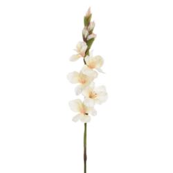 MIECZYK POJEDYNCZY 85CM SUN367 VANILIA LT OLIVE