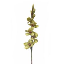 MIECZYK POJEDYNCZY 85CM SUN367 OLIVE