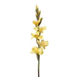 MIECZYK POJEDYNCZY 85CM SUN367 YELLOW GREEN