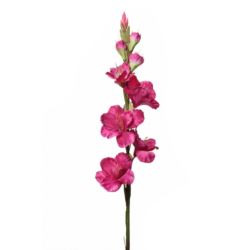 MIECZYK POJEDYNCZY 85CM SUN367 BEAUTY