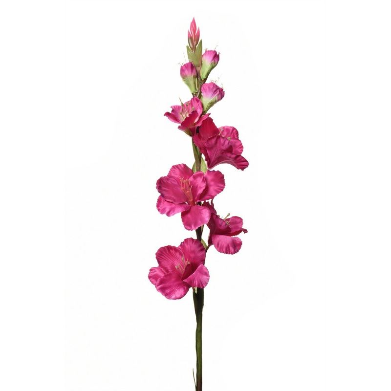 MIECZYK POJEDYNCZY 85CM SUN367 BEAUTY