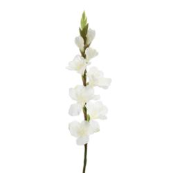 MIECZYK POJEDYNCZY 85CM SUN367 ECRU