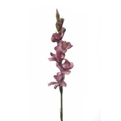 MIECZYK POJEDYNCZY 85CM SUN367 MAUVE