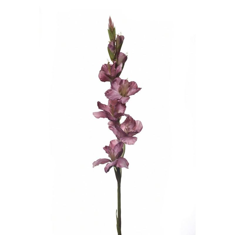 MIECZYK POJEDYNCZY 85CM SUN367 MAUVE