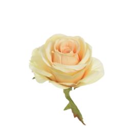RÓŻA WYROBOWA 8CM SUN385 LT YELLOW