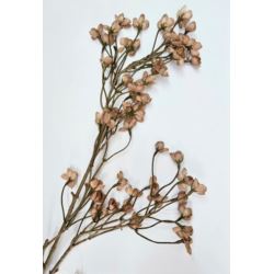 VAX JESIENNY GAŁĄZKA 90CM /70596 OLD BROWN