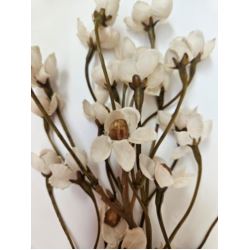 VAX JESIENNY GAŁĄZKA 90CM /70596 OLD WHITE