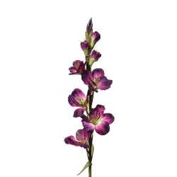 MIECZYK POJEDYNCZY 85CM SUN367 PURPLE GREEN 2884