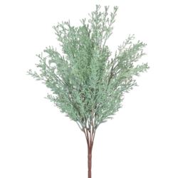TUJA CYPRYSOWA BUKIET DODATEK 48CM POWDER GREEN