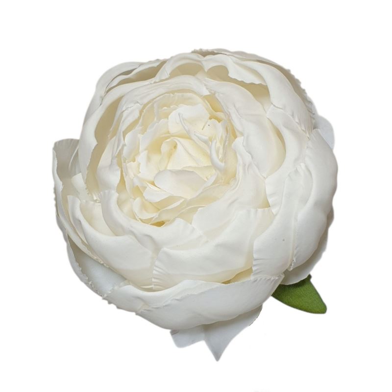 PEONIA GŁÓWKA VINTAGE 8CM /387H (MIX7) PURE CREAM