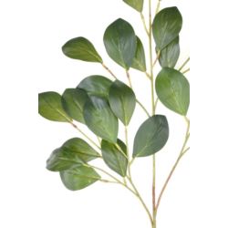 MANDARYNKA LIŚĆ GAŁĄZKA 66CM GREE015 RT GREEN
