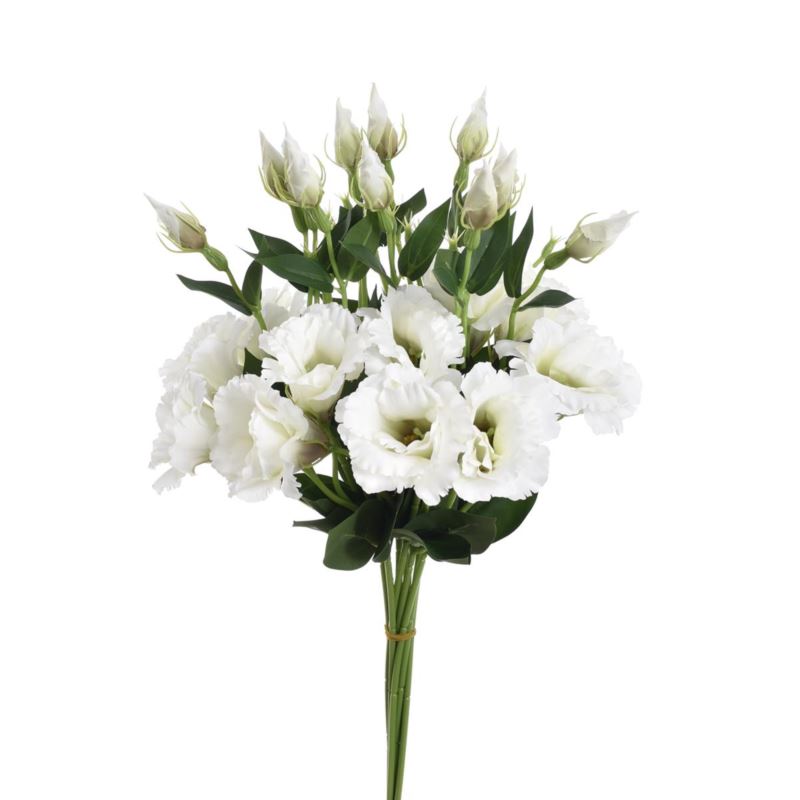 EUSTOMA SPRAY SUN357 WHITE DIRTY GREEN