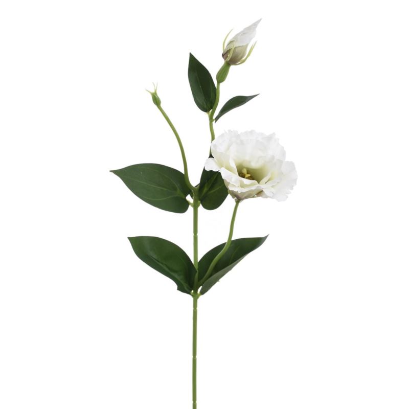 EUSTOMA SPRAY SUN357 WHITE DIRTY GREEN